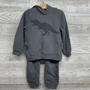 Hoodie Dinosaur & French Terry Drawstring Joggers 4T