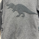 Hoodie Dinosaur & French Terry Drawstring Joggers 4T