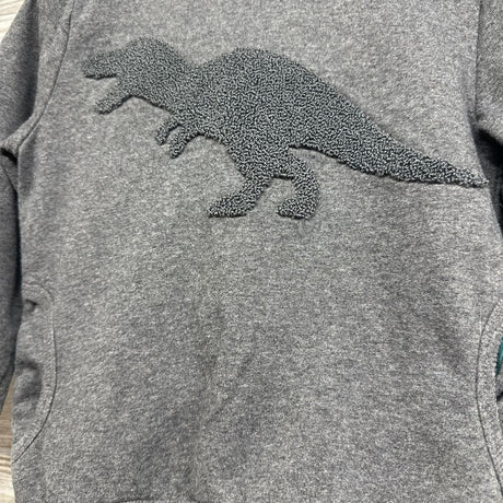 Hoodie Dinosaur & French Terry Drawstring Joggers 4T