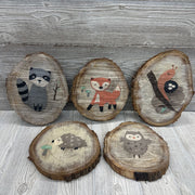5 Pk Wood Slab Wall Signs Racoon, Fox, Snail, Hedgehog & Owl
