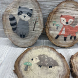 5 Pk Wood Slab Wall Signs Racoon, Fox, Snail, Hedgehog & Owl