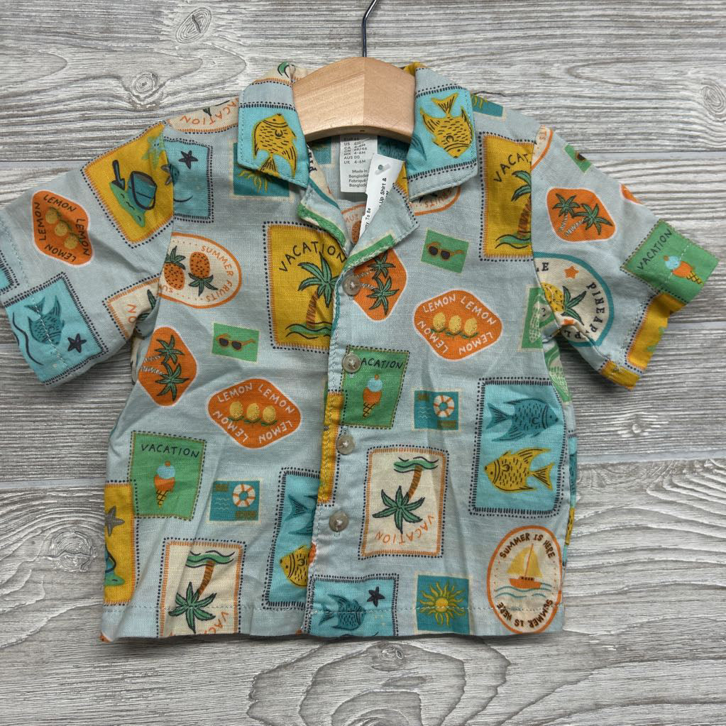 Muslin Button Up Shirt & Shorts Vacation Summer Fruits 6M