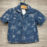 Chambray Button Up Shirt & Shorts Palm Trees Lizards 12M