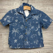 Chambray Button Up Shirt & Shorts Palm Trees Lizards 12M