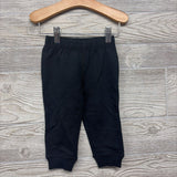 NEW Crewneck Dinosaurs & French Terry Joggers 12M
