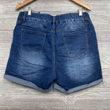Denim Side Panel Shorts Large