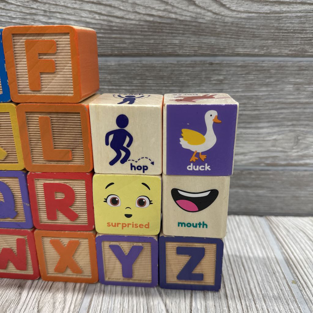 Ms. Rachel Wooden Learning Blocks