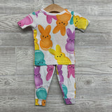 2 Pc PJs Bunnies 2T