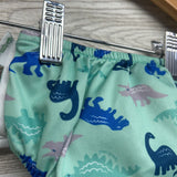 Swim Diaper Dinosaurs 12M