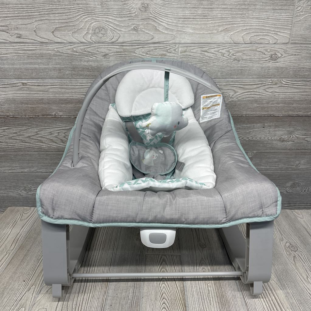 2-in-1 Rocker & Bouncer Duo