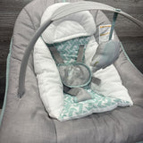 2-in-1 Rocker & Bouncer Duo