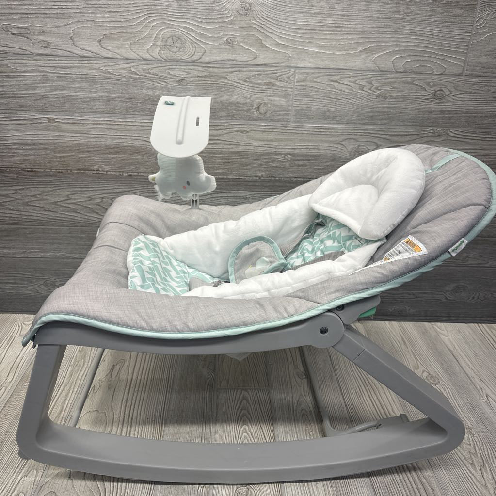 2-in-1 Rocker & Bouncer Duo