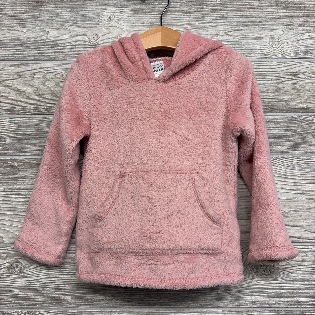 Plush Hoodie 4t