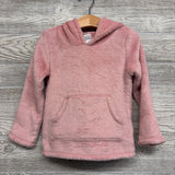 Plush Hoodie 4t
