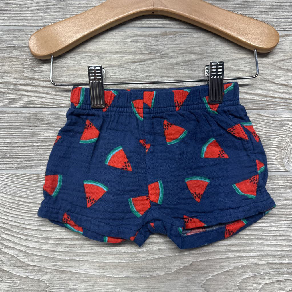 Gauze Button Up Shirt & Shorts Watermelons 0-3M