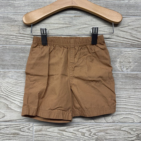 Henley Polo Bodysuit Palm Trees & Pull On Shorts 18M