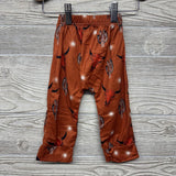Shirt Stacked Howdy & Harem Pants Cactus Bulls 9-12M