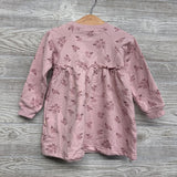 NEW Crewneck Dress Flowers Ruffle 24M