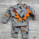 Hoodie & French Terry Joggers Dinosaurs 0-3M