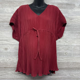 NEW Accordion V Neck Blouse XL