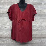 NEW Accordion V Neck Blouse L