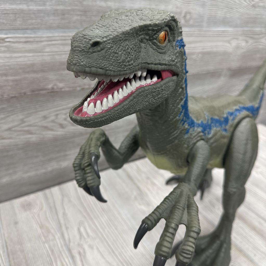 Super Colossal Velociraptor Blue Dinosaur