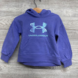 Hoodie Logo 2t