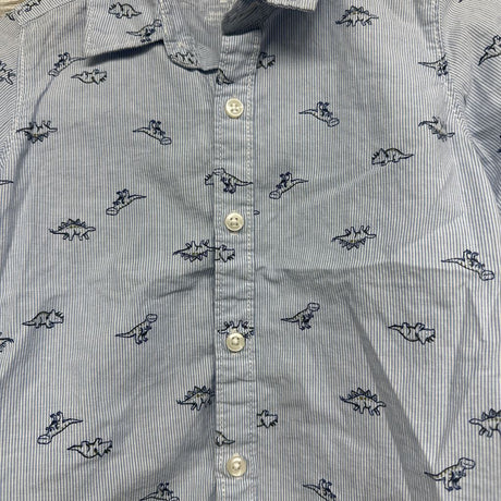 Button Up Shirt Dinosaurs 24M