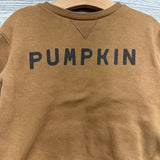 Crewneck Pumpkin 3T