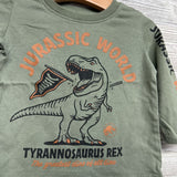 LS Shirt Tyrannosaurus Rex 12M
