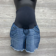 Full Panel Denim Shorts Ripped 14/Large