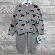 NEW Sweater Dinosaurs & Sweater Pants 12M
