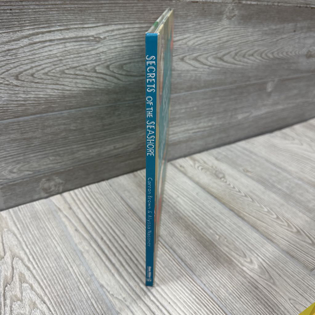 Shine A Light Secrets Of The Seashore Hardcover Book