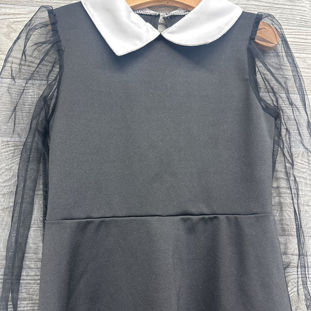 Tulle Sleeve Dress W/ Collar & Pearls 8