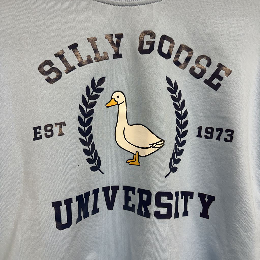 Crewneck Silly Goose University 9