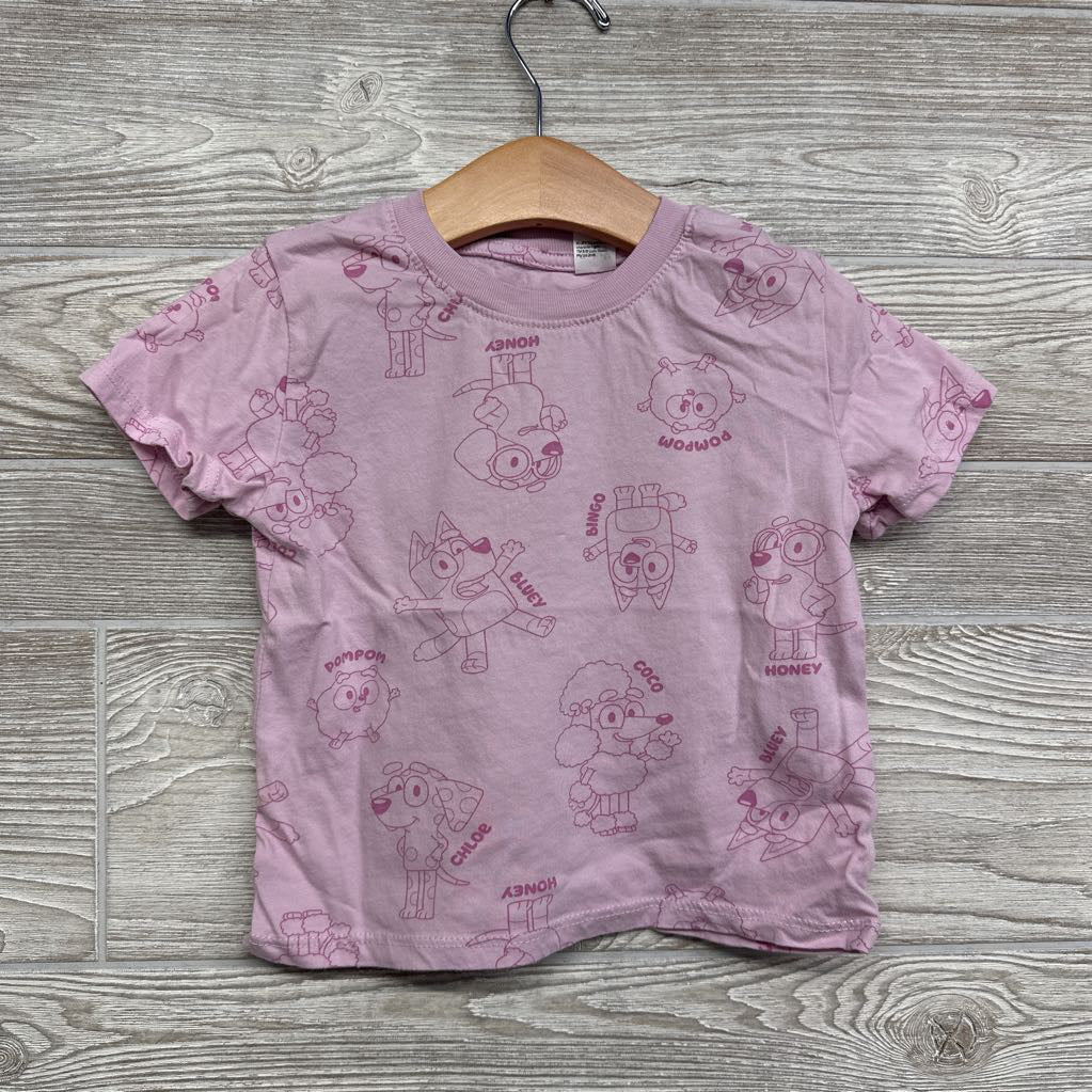 Shirt Bluey Characters 3-4t