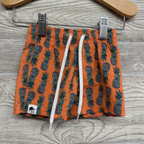 Pineapple Hybrid Shorts 0-6M
