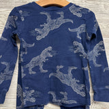 2 Pc LS PJs Dinosaurs 4