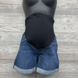 Full Panel Denim Shorts 8/Medium