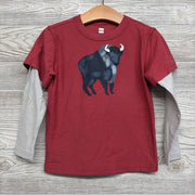 LS Twofer Shirt Buffalo 4