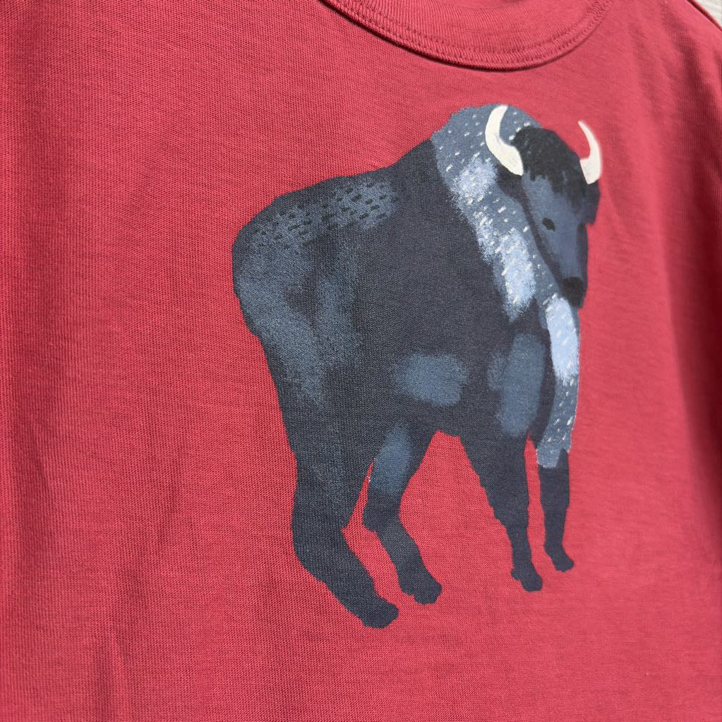 LS Twofer Shirt Buffalo 4
