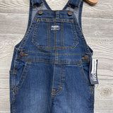 NEW Lined Overalls 2t