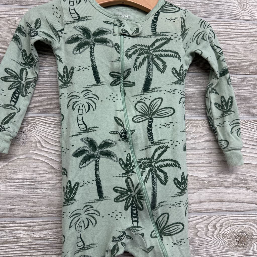 Sleeper Palm Trees 18M