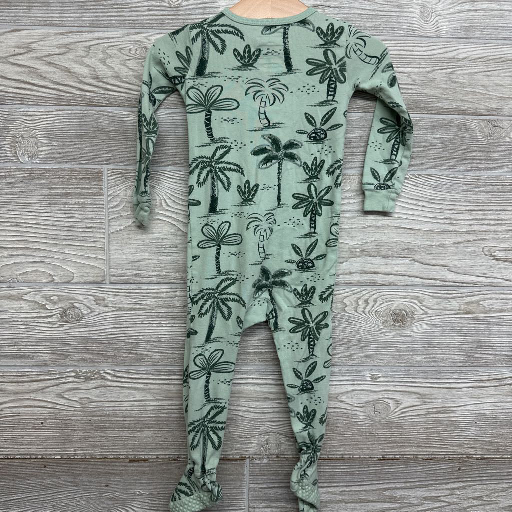 Sleeper Palm Trees 18M