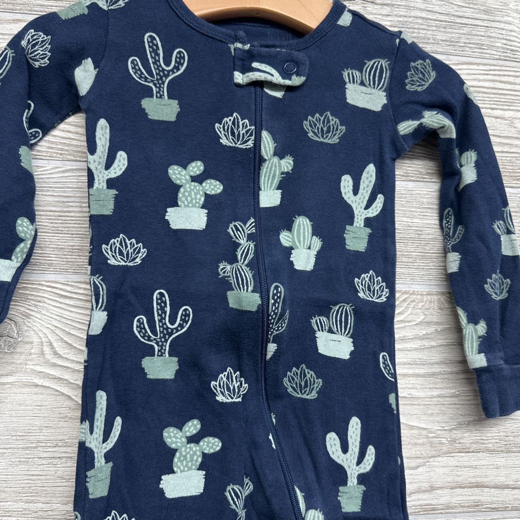 Sleeper Cactus 18M