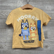 NEW Character Shirt Hooray & Shorts 2t