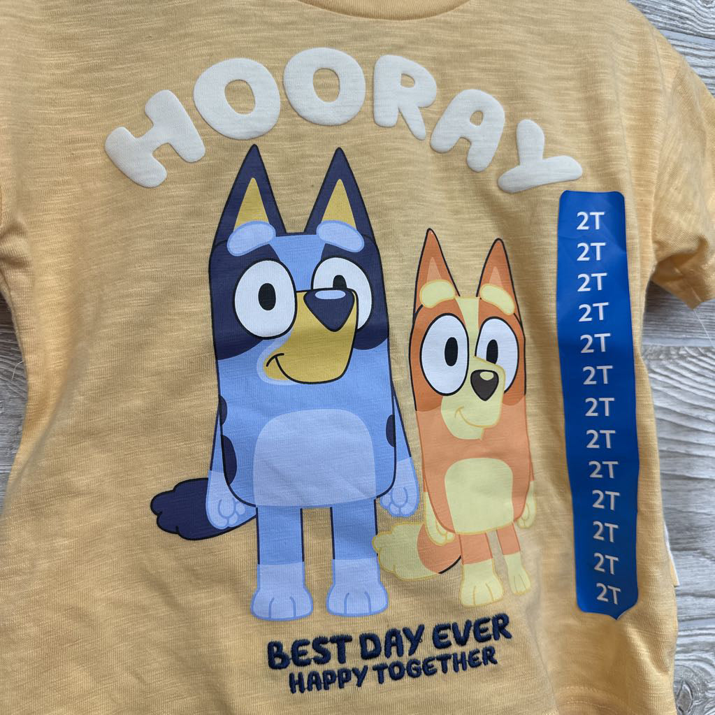 NEW Character Shirt Hooray & Shorts 2t