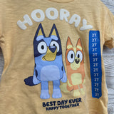 NEW Character Shirt Hooray & Shorts 2t
