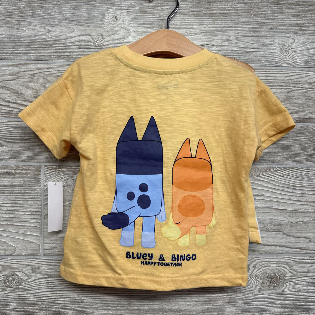 NEW Character Shirt Hooray & Shorts 2t