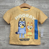NEW Character Shirt Hooray & Shorts 2t